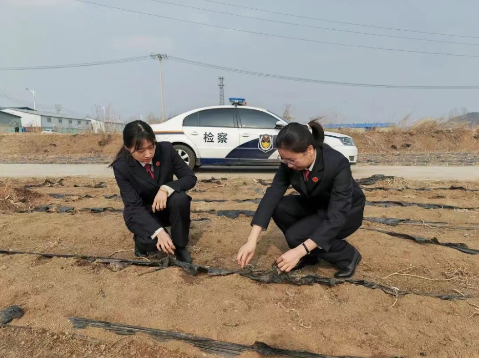 检察蓝守护黑土粮仓，公益诉讼筑牢高标准农田“法治屏障”
